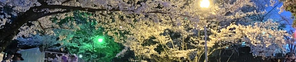 三重県津市　偕楽公園　お花見シーズン　夜桜　建築家　アポア　ライトアップ