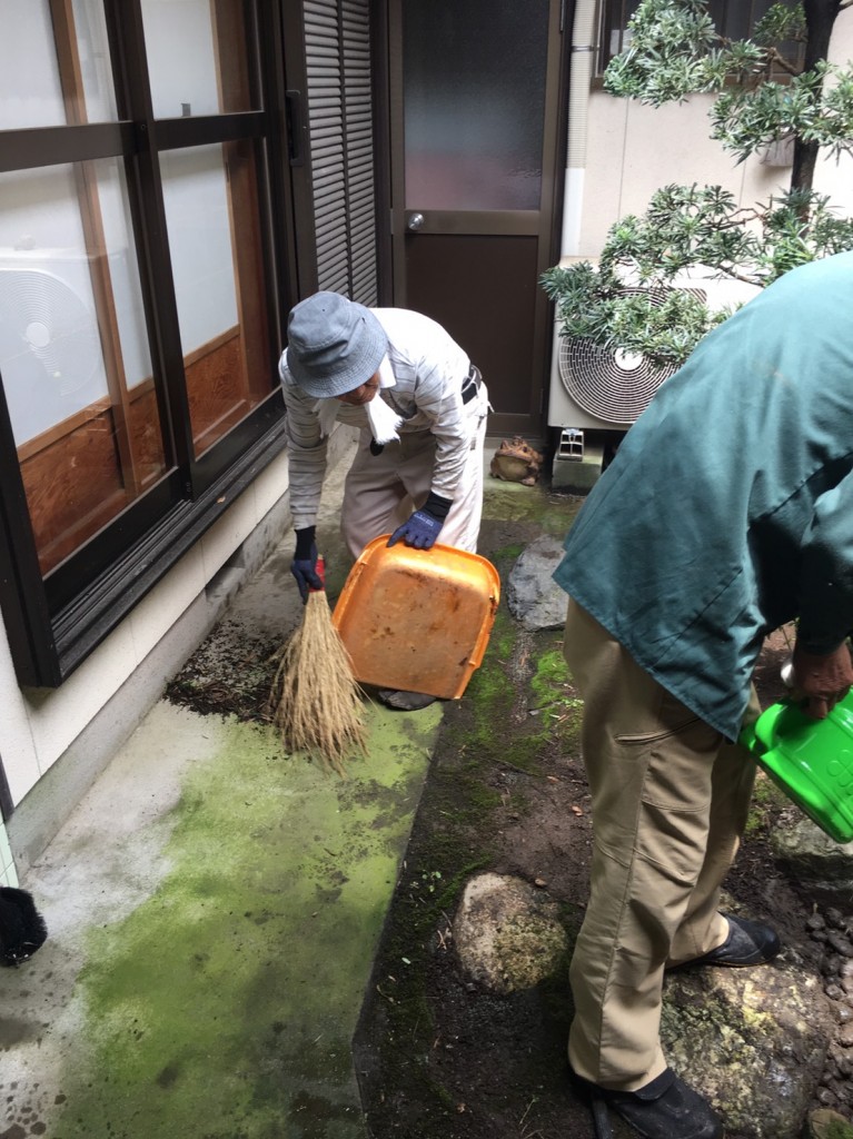 三重県津市でのリフォーム相談　中庭のお手入れ　庭木の剪定　職人の技