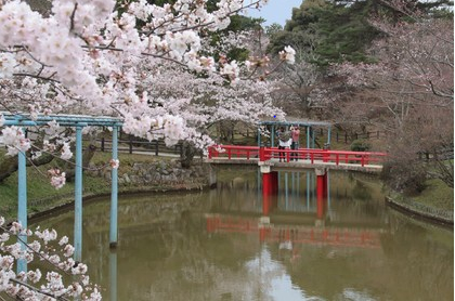 三重県津市　偕楽公園　桜の名所　桜スポット　お花見シーズン　建築家　アポア